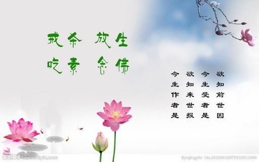 净土法门法师：三个根扎好之后，然后一门深入、长时薰修