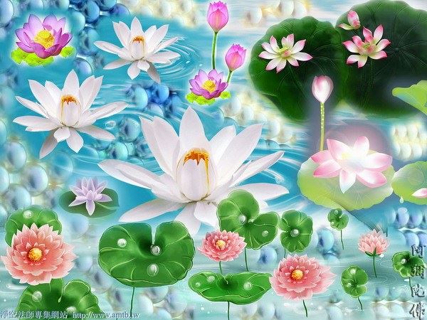 一年不抵触顶撞父母，能灭尽三十年戾气
