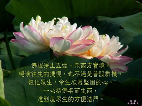 雪漠：当下关怀与心灵超越
