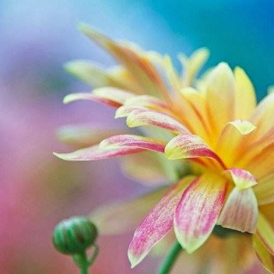 净土法门法师：这个世间有苦难，很多学佛的人学错了，念佛的人也念错了