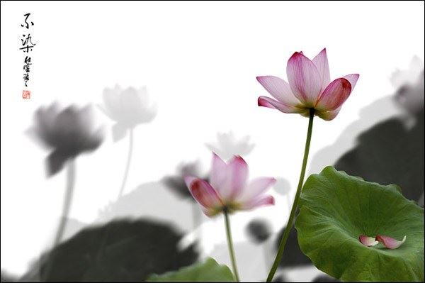 历代禅师端午上堂法语
