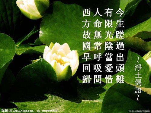 一位医学博士关于因果的见闻：断恶向善，积德改命