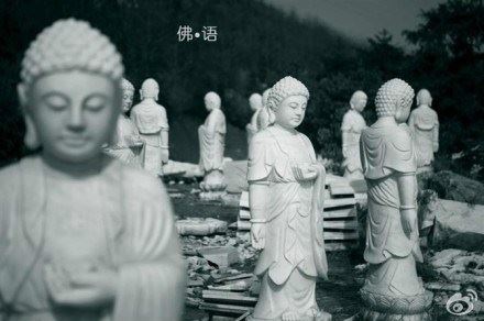 弱者易怒如虎，强者平静如水