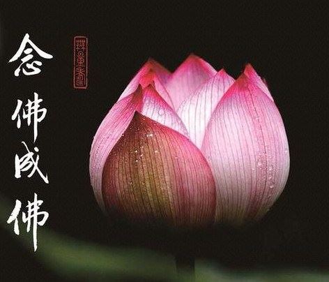 佛教经典揭开DB惊人真相六大严重后果