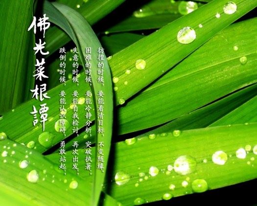 相貌丑陋不端庄姝美者，应多参与造佛菩萨像