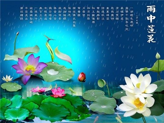净土法门法师：怎样才能够亲近佛陀？
