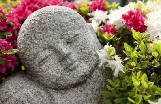智海法师：《因果明镜论》讲记 三