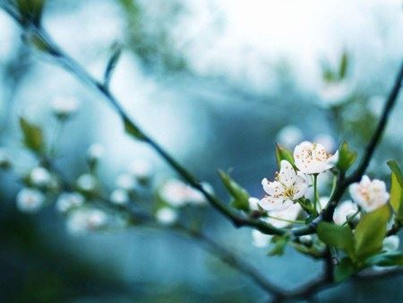 界定法师：漫说《中阿含》（卷二十九）～A 一、柔软经