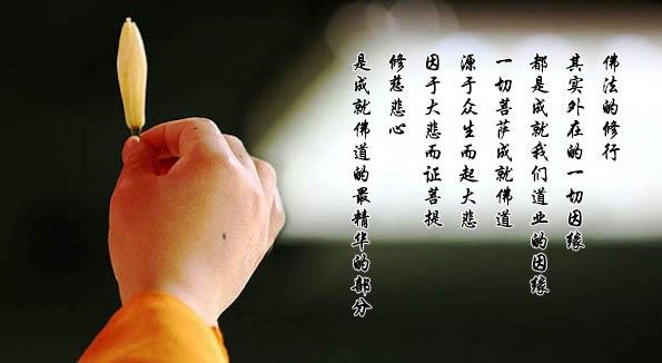 宽运法师：惭愧心与七圣财