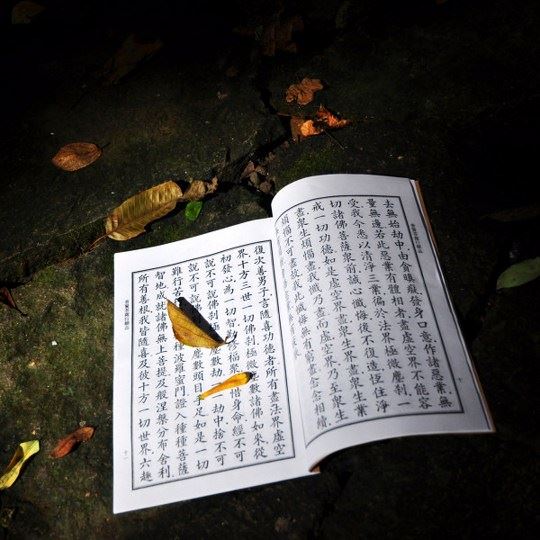 佛光法师：解读《楞伽经》第十四讲