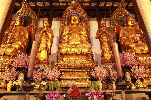 纯祥法师：《阿弥陀经》讲记九：难中之难，无过此难