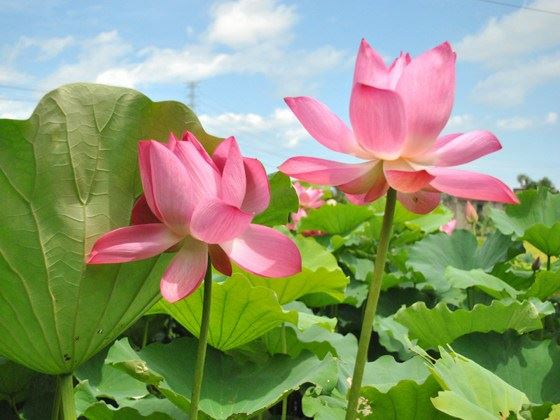 嘎玛仁波切：对亲人关怀的重点，是心灵的照顾