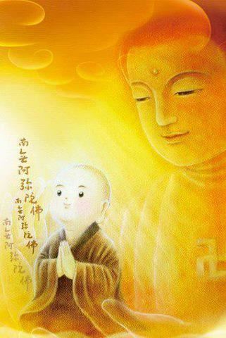 仁清法师：念佛回向时，哪个愿力更大？