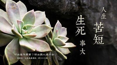 宣化上人：凡是邪师，都有魔怪附体，皆犯以下毛病