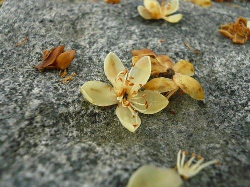 祸YIN案一: 李登邪YIN，损福折寿