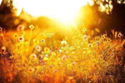 净慧法师：第十一届夏令营 净慧老和尚开示禅修