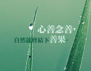一般来说，佛弟子是怎么过年的
