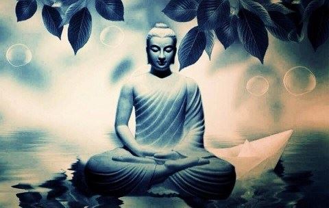 其他文章