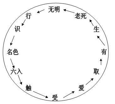 宽运法师：不读《华严》不知佛富贵 十一