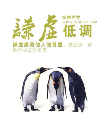 其他文章