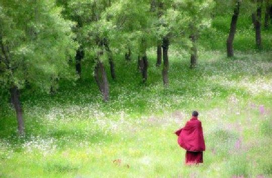 净土法门法师：把无量劫来这些冤业能够化解，只有一个方法，求生净土