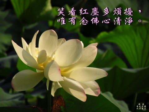 传喜法师：心中有佛身口意常清净