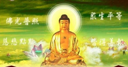 安乐易养的素宝宝
