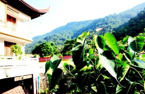 在人生的六个节点上，你能记起佛菩萨吗？