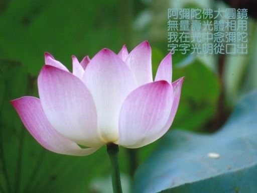 宣化上人：《华严经》每一句经文都是无上法宝