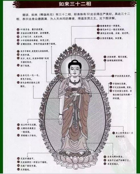 仁焕法师：堕落六道的因缘果报