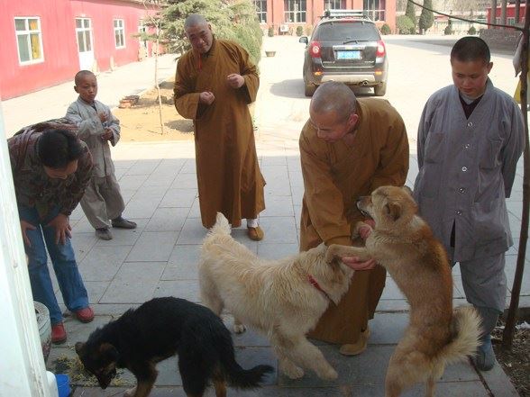 静波法师：在香积世界开业典礼上的致辞