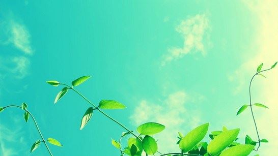 净界法师：四种行为最折损福报，你平时有注意吗？