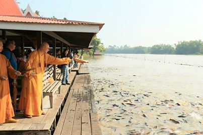 净土法门法师：心浮气躁就是贪瞋痴的表现心平气和才可平息大灾难