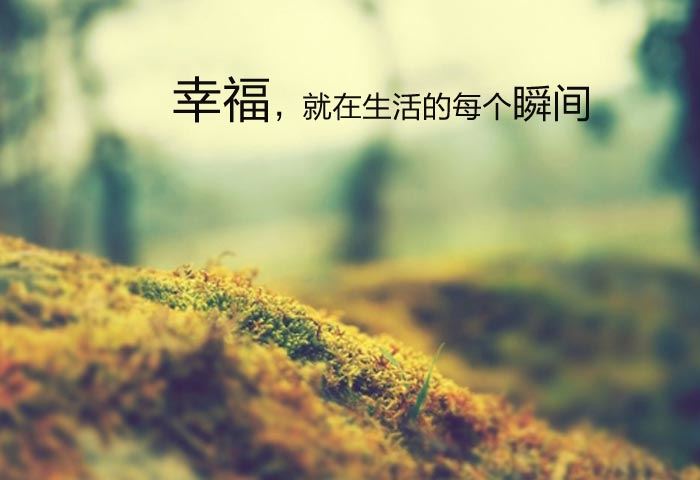 其他文章