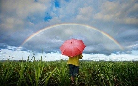净土法门法师：一向专念阿弥陀佛，你相信你就上路了