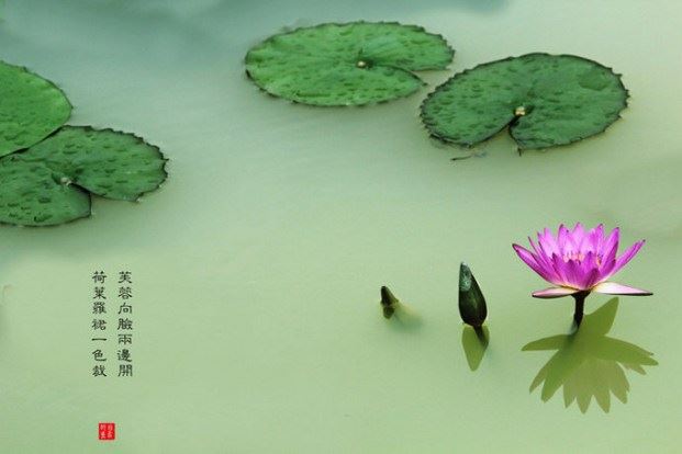 净土法门法师：身家是个工具，这一点一定要认识清楚