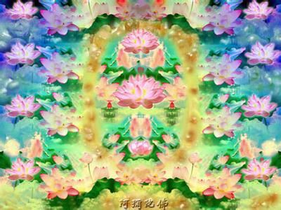 净土法门法师：随遇而安，富贵有富贵的快乐，贫贱有贫贱的快乐