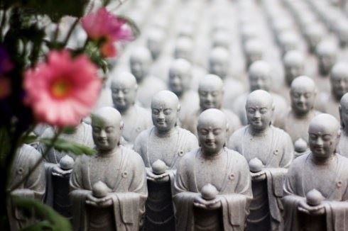界诠法师：修行务必去除执着