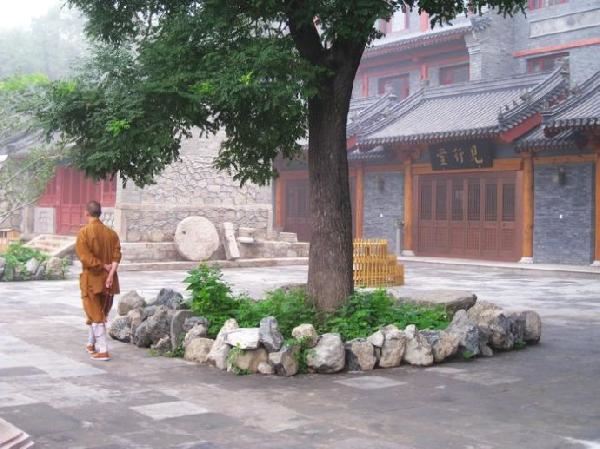 按照地藏经中的方法，积累功德，超度父母