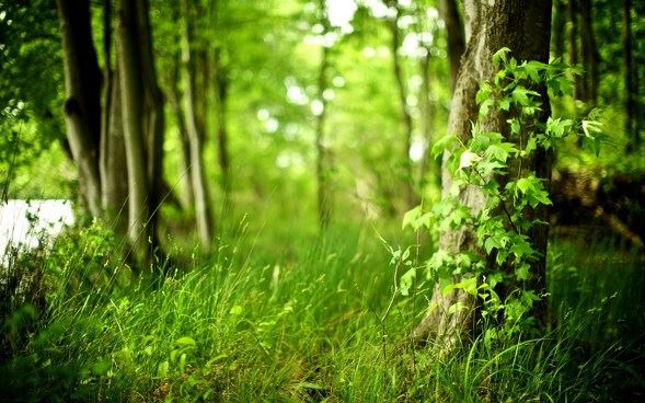 静波法师：大方广佛入不思议解脱境界华严经 普贤菩萨行愿品 讲记 三