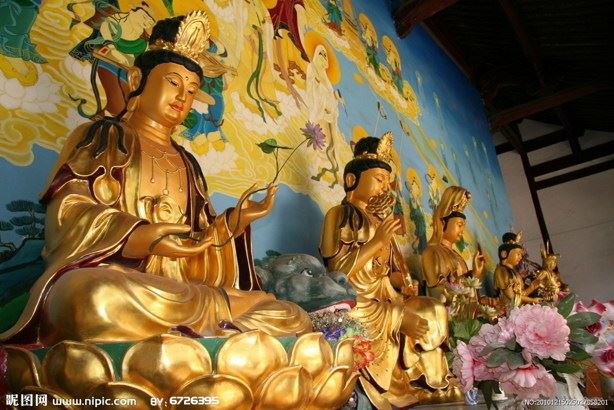慧臻师兄诵《金刚经》心得合集