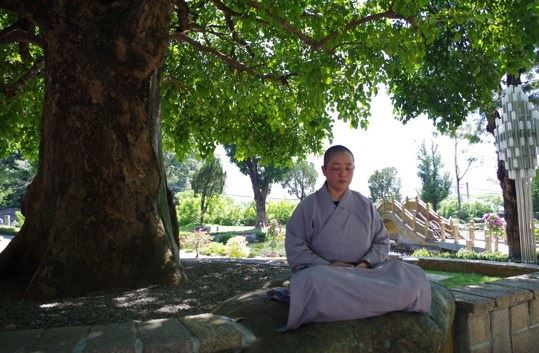 净土法门法师答：凡人每天都要吃和睡，不知如何掌握分寸才对