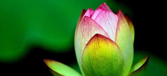 达照法师：超越死亡 第二章 以觉为本——觉悟乃人生之真谛 第一节 本觉与生死