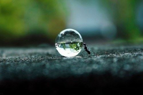 界定法师：漫说《杂阿含》（卷四十五）～A 1198经～1207经：此十经重点叙述比丘（或比丘尼）不受佛之滋扰，且能降魔之事。