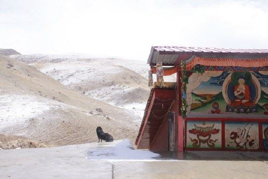 药师山·紫虚居士：我对佛教宗教师的一些建议