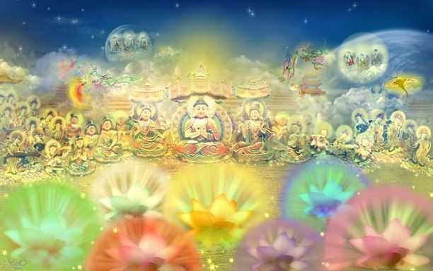 净土法门法师：这是我们唯一的生路，是真的不是假的