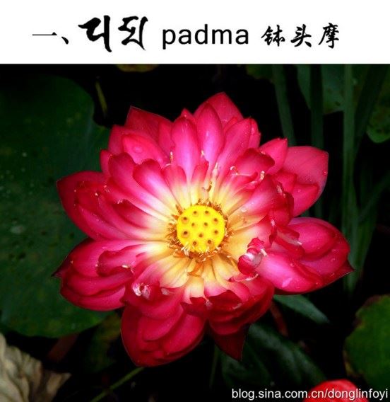 智海法师：《观世音菩萨普门品》讲记7