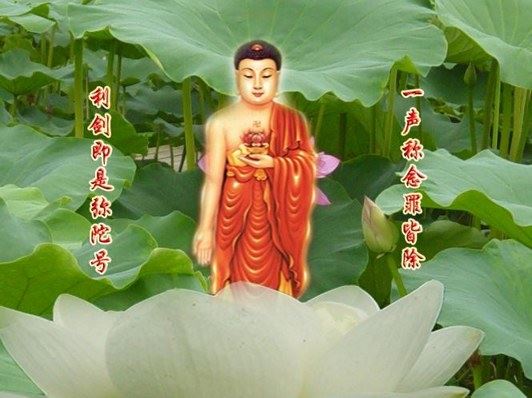 其他文章