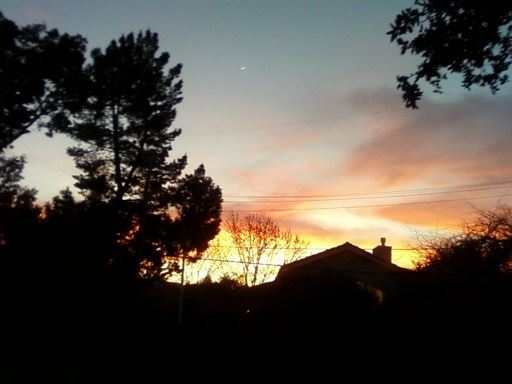 不期无常到，君向何处去