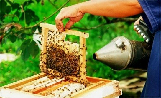 金易明教授：近代汉传“居士佛教”现实成因分析